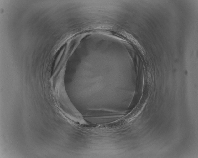 X0000071790577200607211624