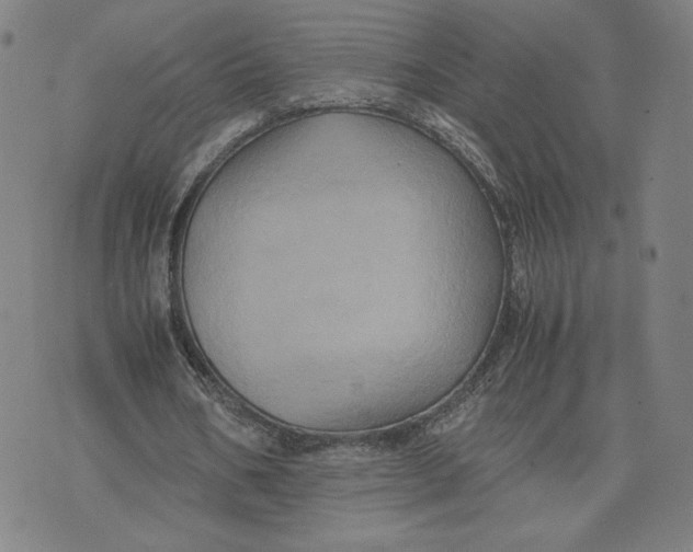 X0000071790578200607211624