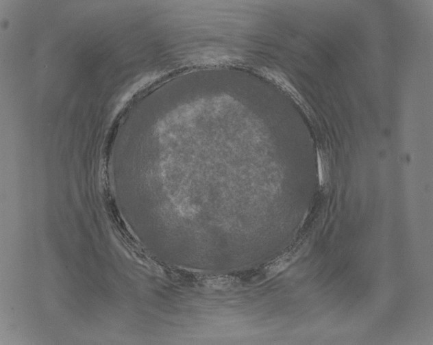 X0000071790579200607211624