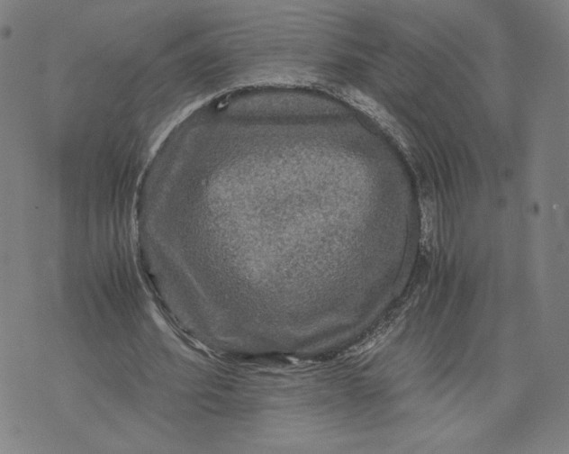 X0000071790580200607211624