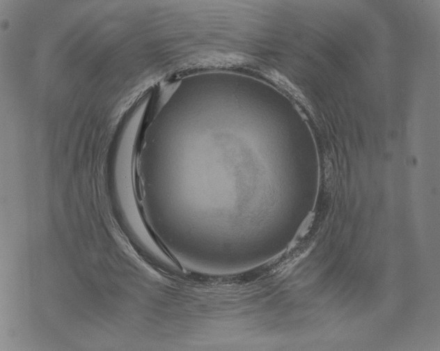 X0000071790581200607211624