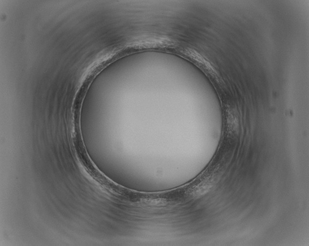 X0000071790582200607211624