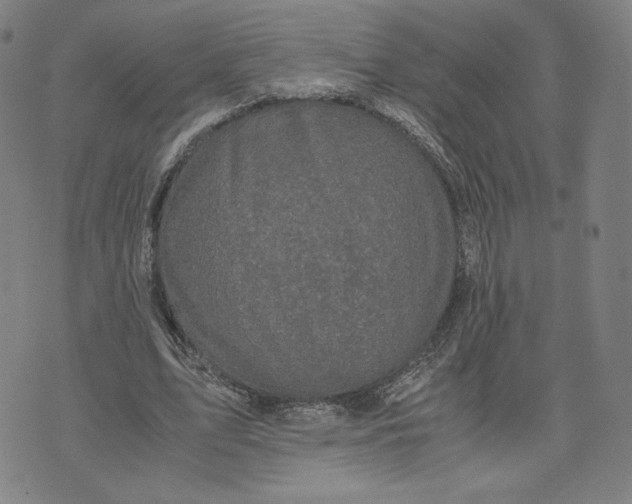 X0000071790583200607211624