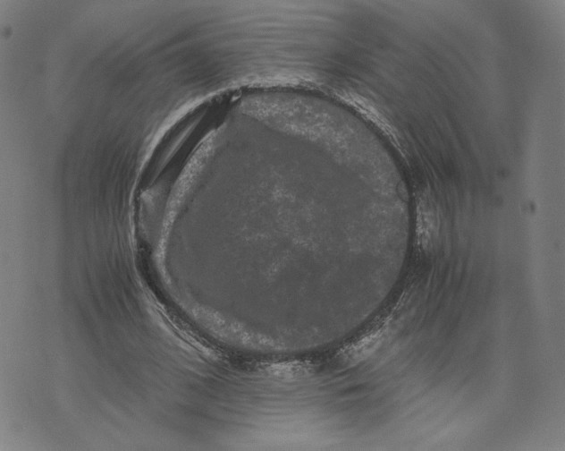 X0000071790584200607211624