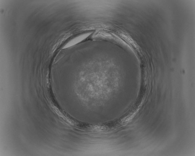 X0000071790585200607211624