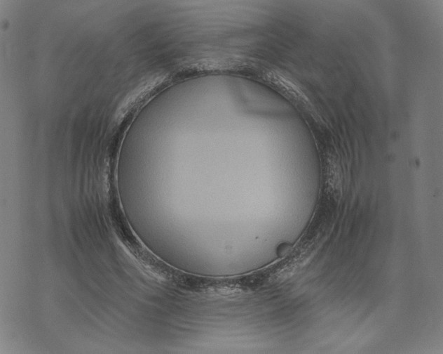 X0000071790586200607211624