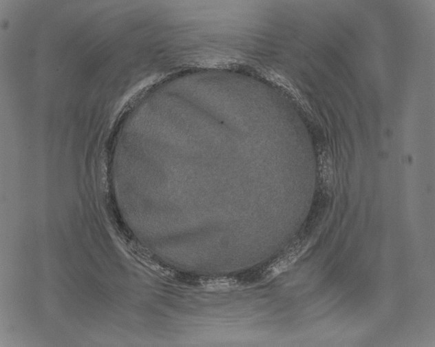 X0000071790587200607211624