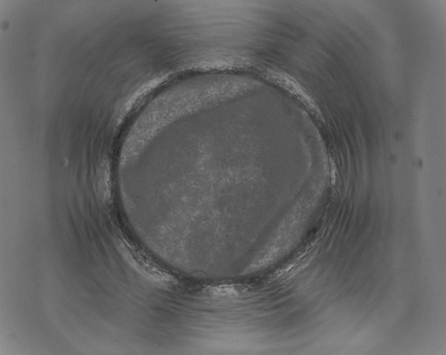 X0000071790588200607211624