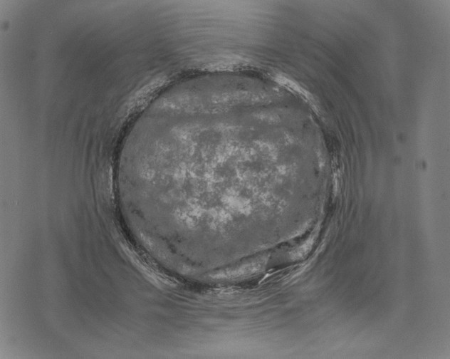 X0000071790589200607211624