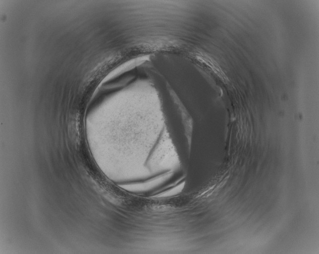 X0000071790590200607211624