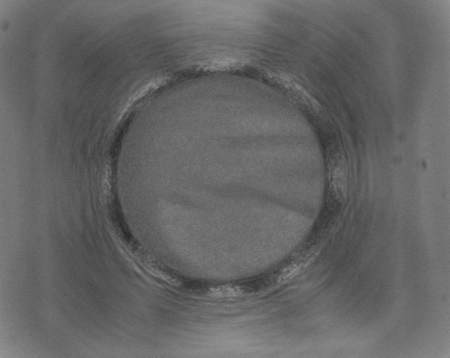 X0000071790591200607211624