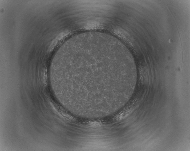 X0000071790592200607211624