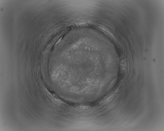 X0000071790593200607211624