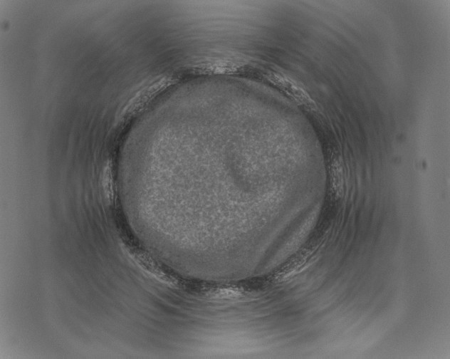 X0000071790594200607211624