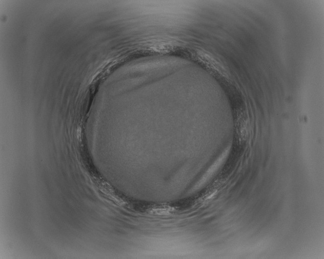 X0000071790595200607211624