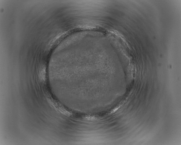 X0000071790596200607211624