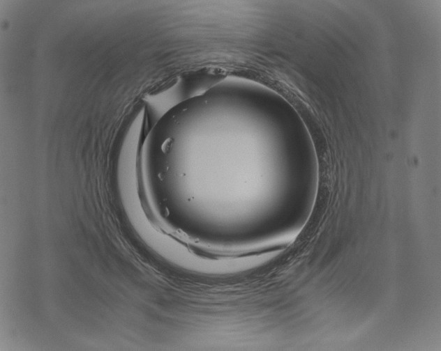 X0000071790597200607211624