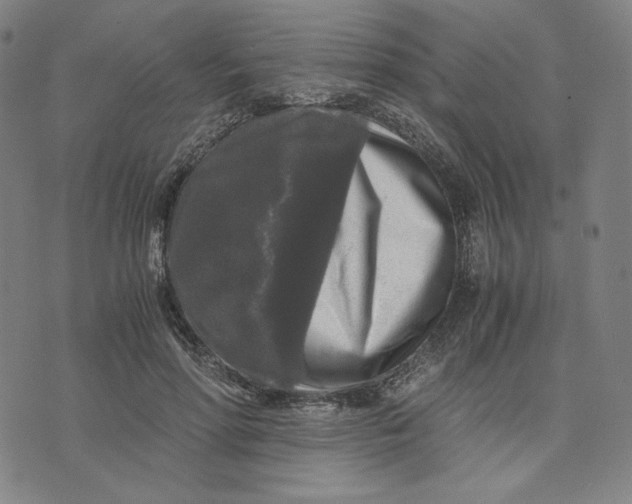 X0000071790598200607211624