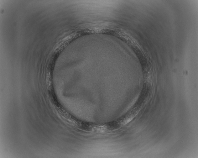 X0000071790599200607211624