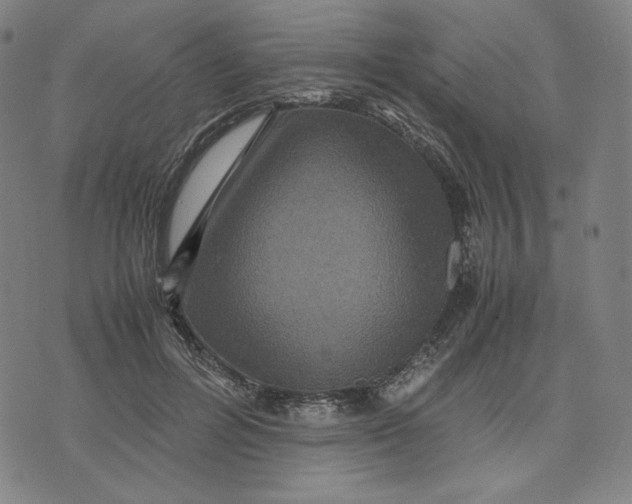 X0000071790600200607211624