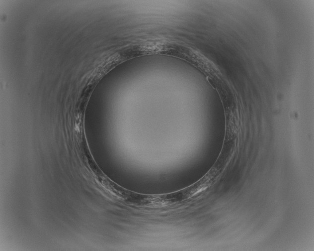 X0000071790601200607211624