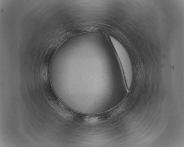 X0000071790602200607211624