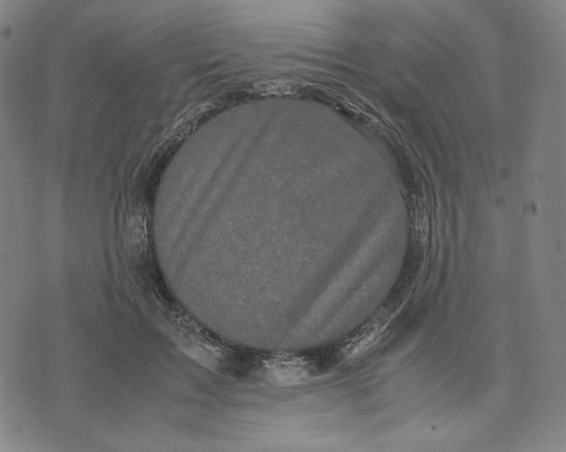 X0000071790603200607211624