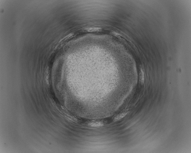 X0000071790604200607211624