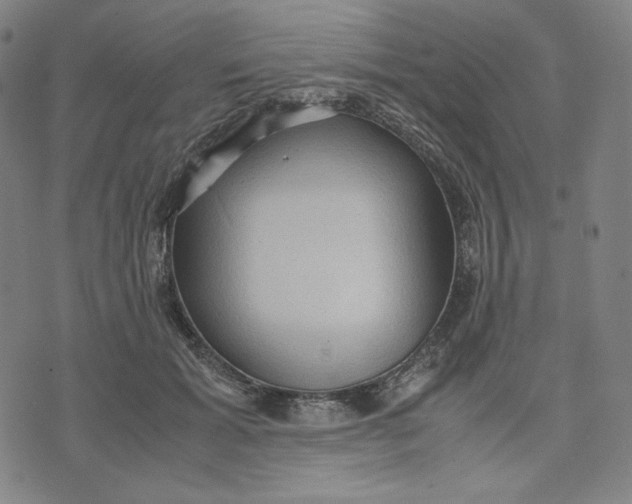 X0000071790605200607211624