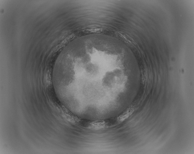 X0000071790606200607211624