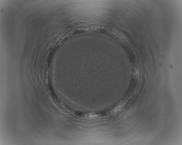 X0000071790607200607211624