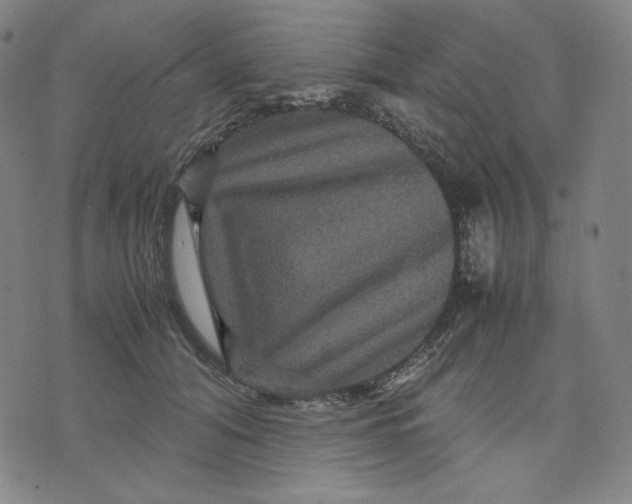 X0000071790608200607211624