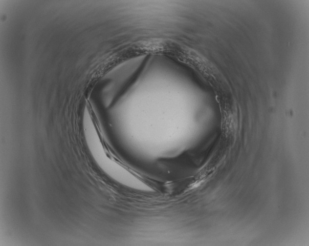 X0000071790609200607211624