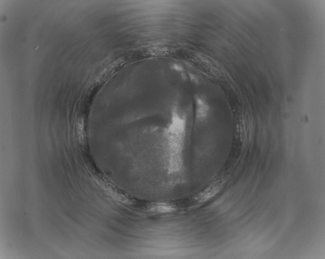 X0000071790610200607211624