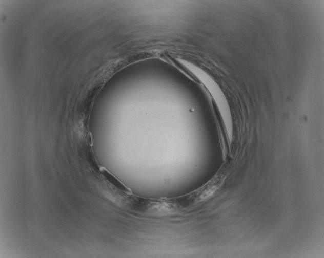 X0000071790611200607211624