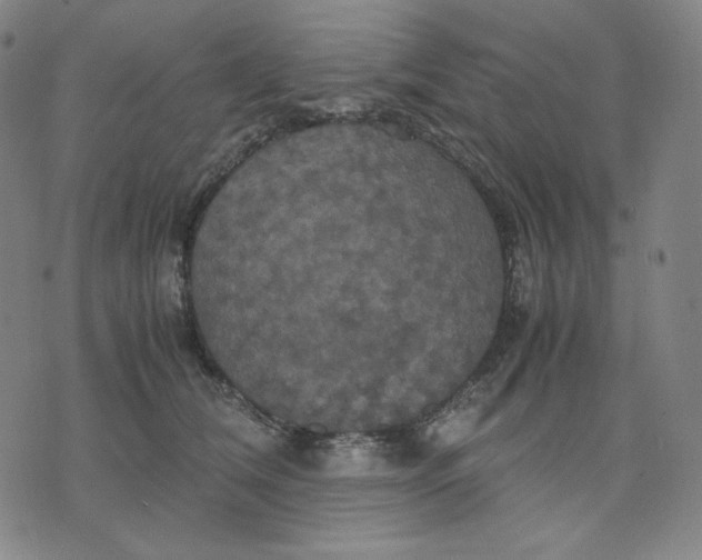 X0000071790612200607211624