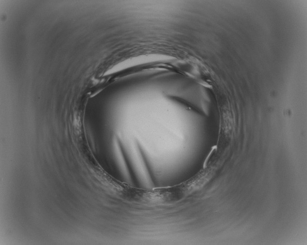 X0000071790613200607211624