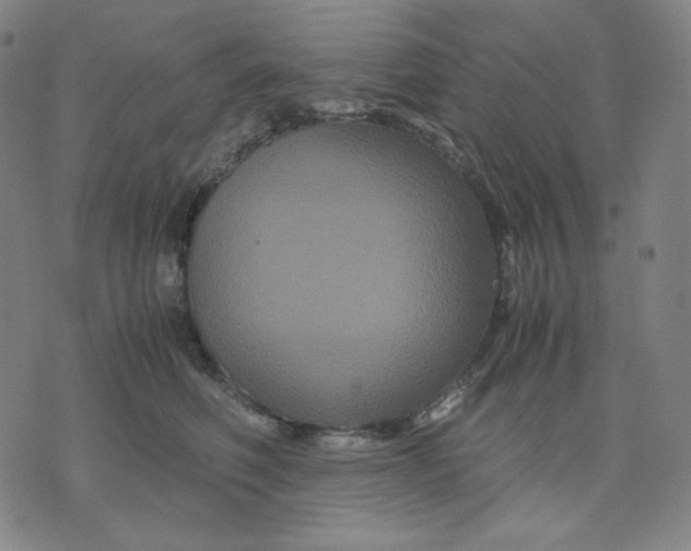 X0000071790614200607211624