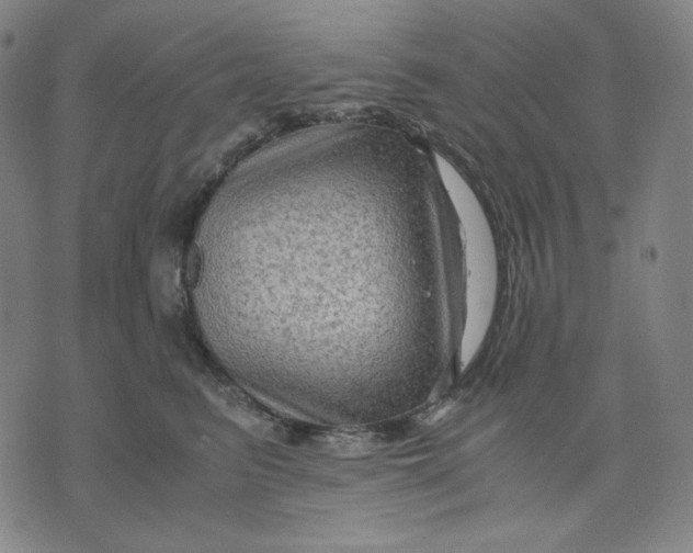 X0000071790615200607211624