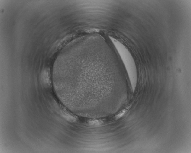 X0000071790616200607211624