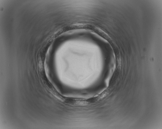 X0000071790617200607211624