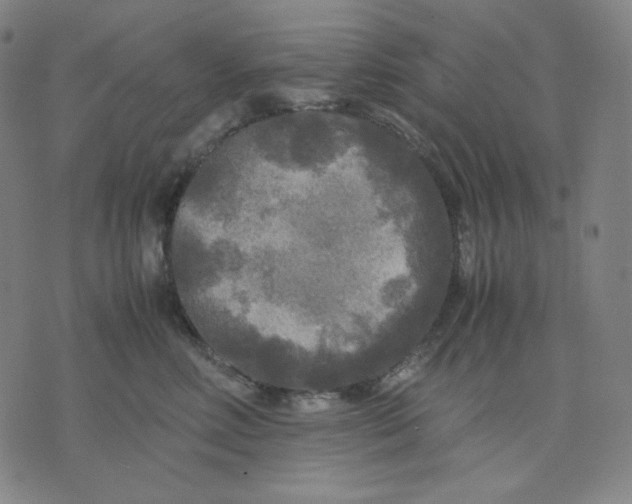 X0000071790618200607211624