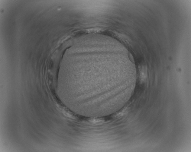 X0000071790619200607211623