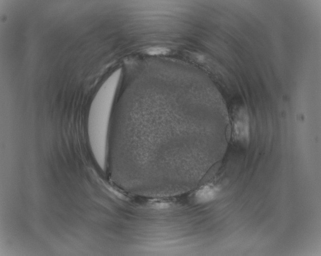 X0000071790620200607211623