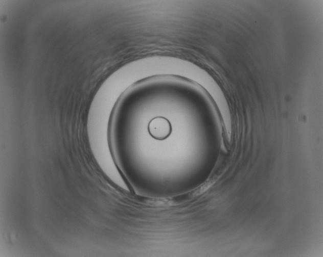 X0000071790621200607211623