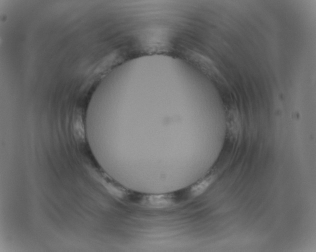 X0000071790622200607211623