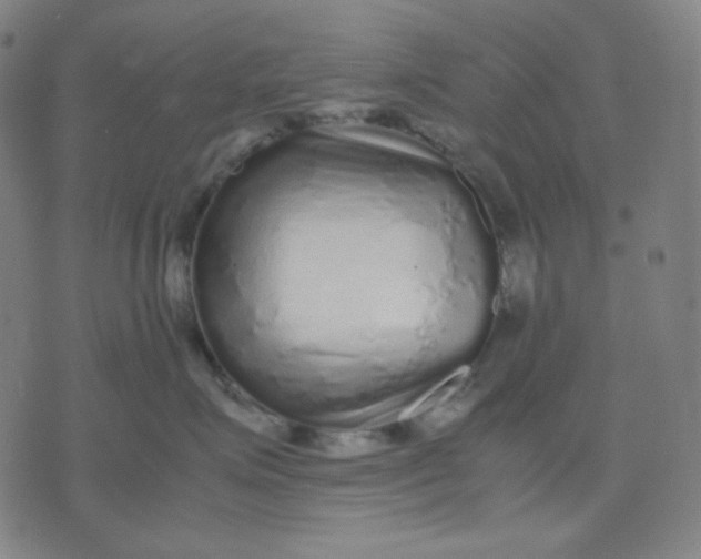 X0000071790623200607211623