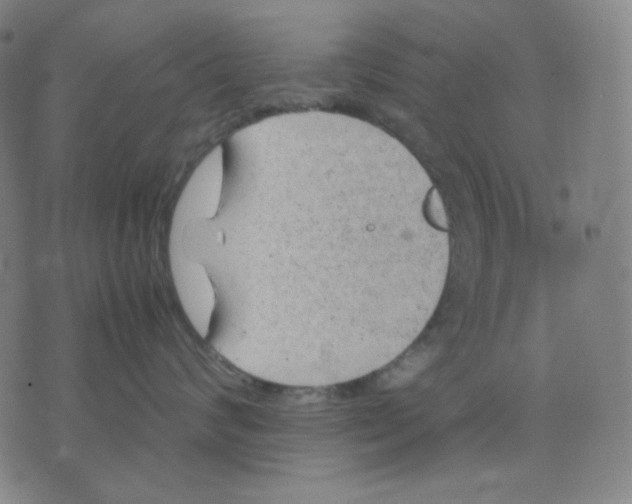 X0000071790624200607211623