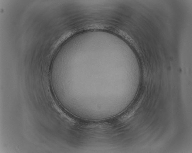 X0000071790625200607211623