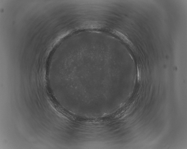 X0000071790627200607211623